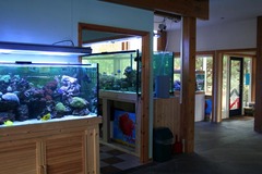 Killikus&reg; Fotographie